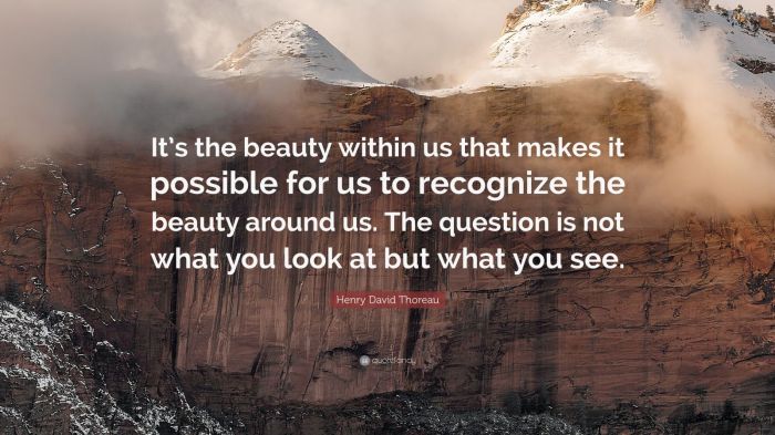 Beauty within thoreau henry david quote around makes question not recognize possible quotes look but wallpapers quotefancy Beauty within thoreau henry david quote around makes question not recognize possible quotes look but wallpapers quotefancy