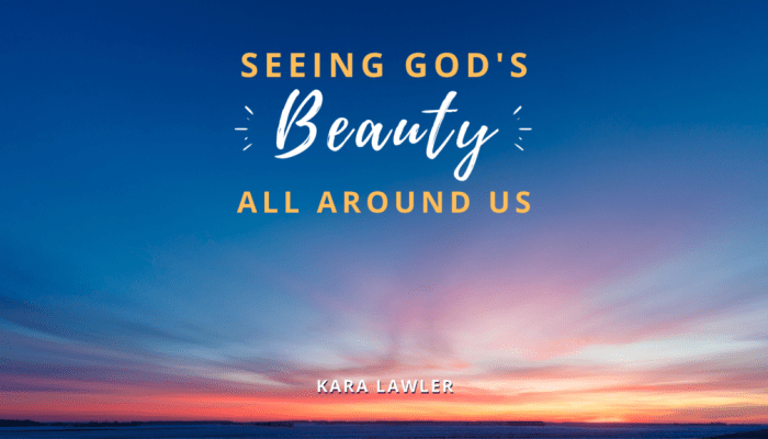 Seeing salvation lawler kara Seeing salvation lawler kara